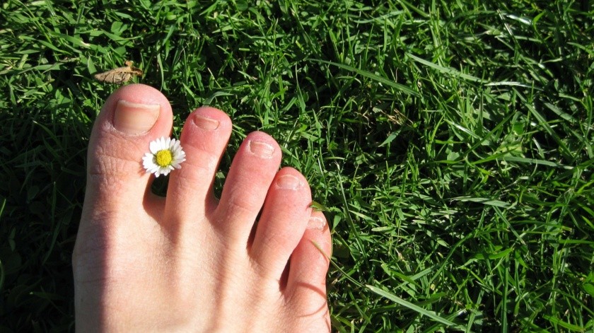 Los hongos en las uñas de los pies son una afección común que comienza como una mancha blanca o amarilla en la punta de una de ellas.(Pixbay)