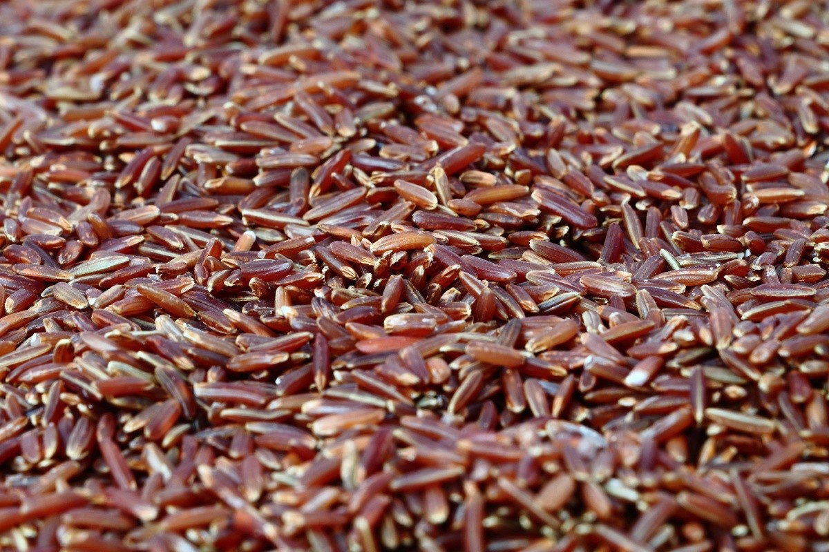 Arroz de levadura roja, un suplemento para controlar el colesterol