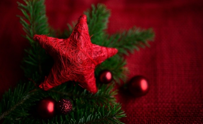 Gobierno pide no usar musgo natural en adornos navideños