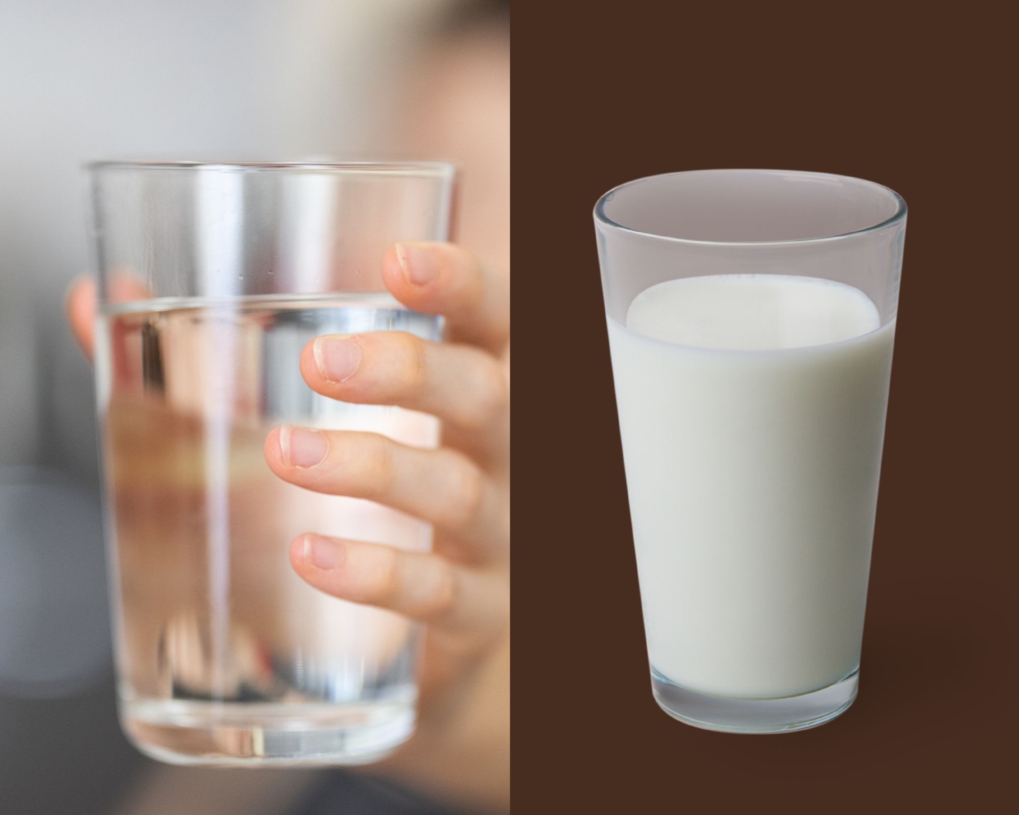 ¿la Leche Es Mejor Que El Agua Para Hidratarse Esto Dice Harvard Mundo Sano Noticias E 